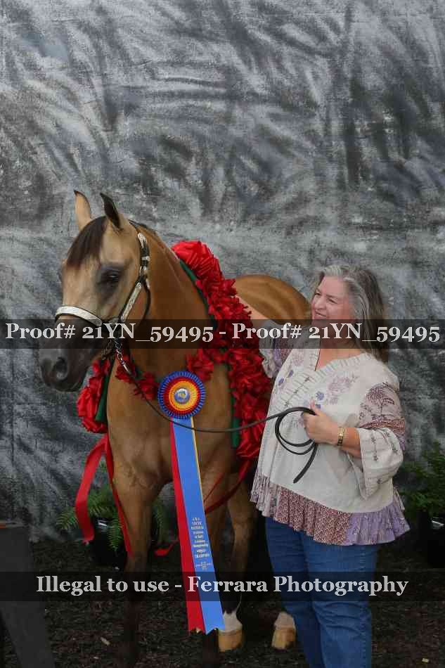 Proof Number 21YN_59495