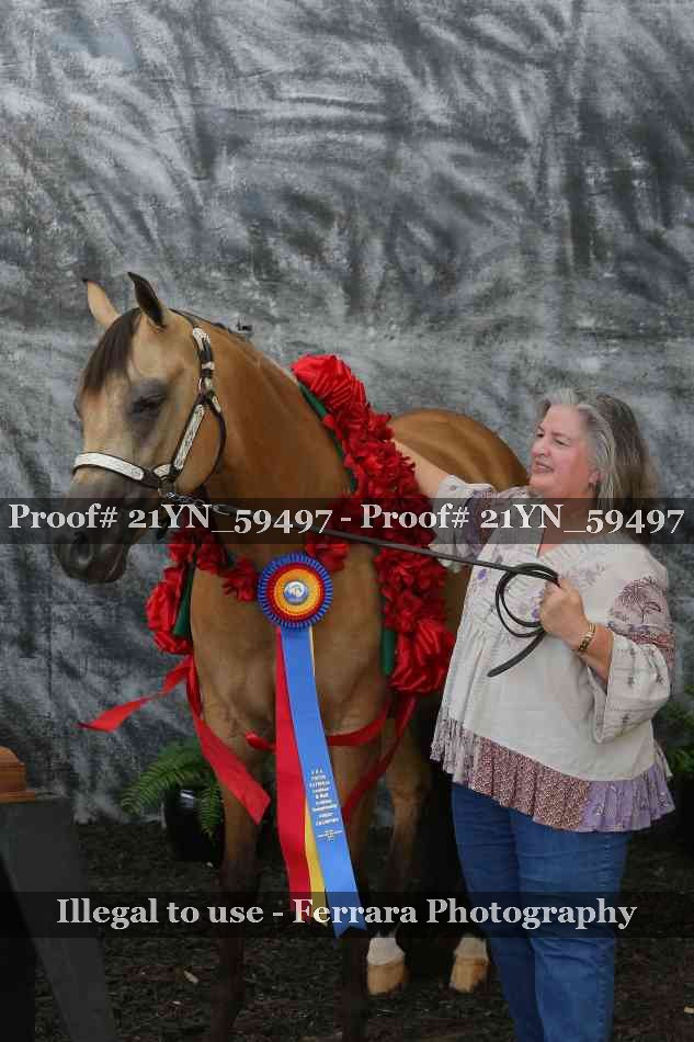 Proof Number 21YN_59497