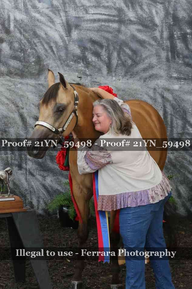 Proof Number 21YN_59498