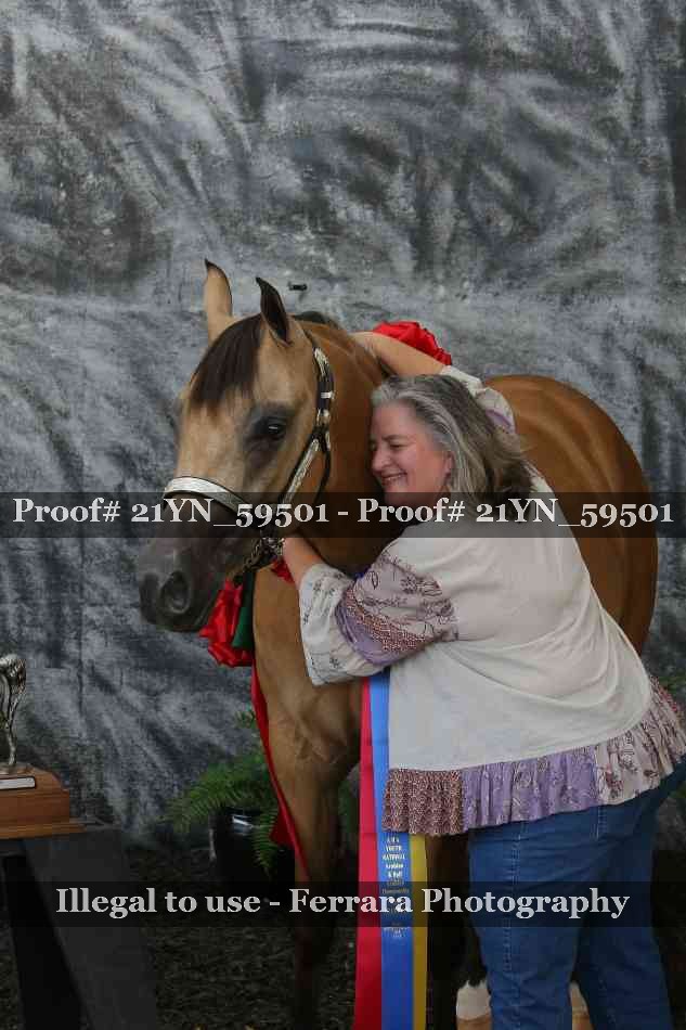 Proof Number 21YN_59501