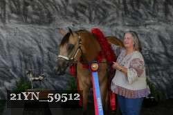21YN_59512 thumbnail