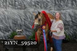 21YN_59520 thumbnail