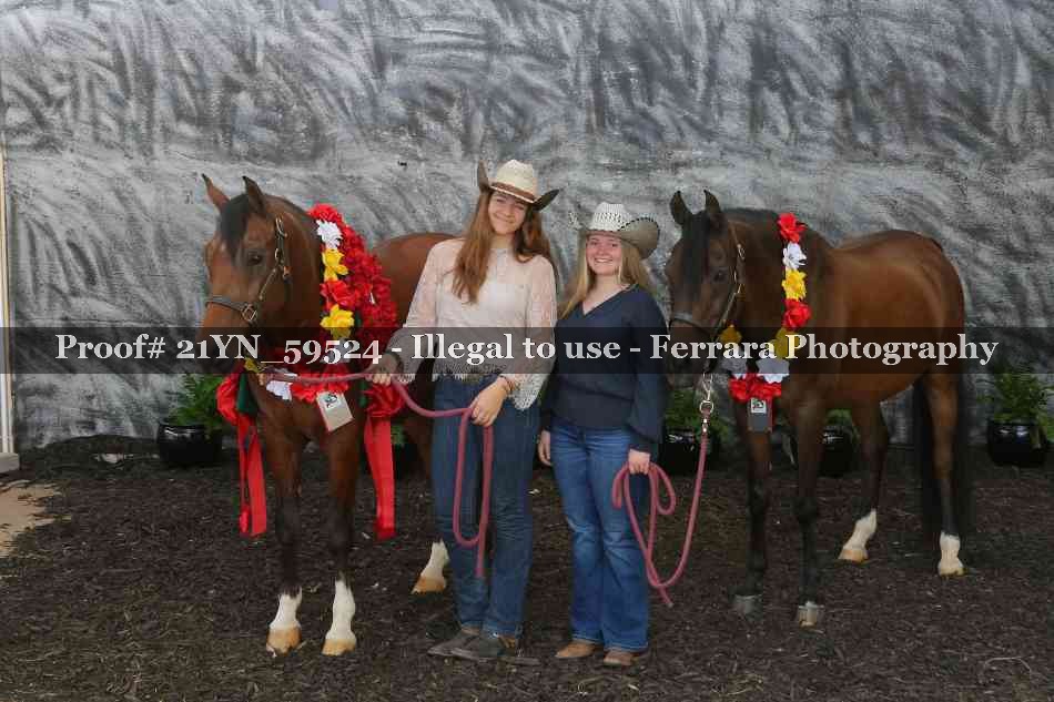 Proof Number 21YN_59524
