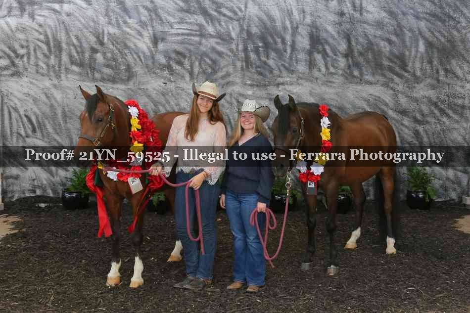 Proof Number 21YN_59525