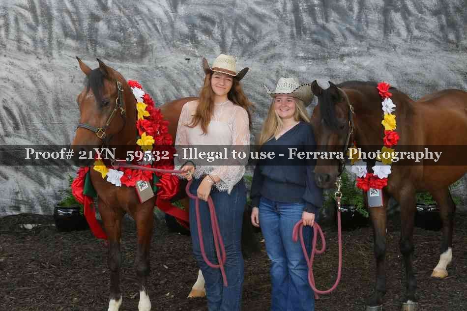 Proof Number 21YN_59532