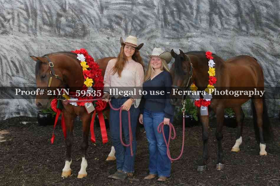 Proof Number 21YN_59535