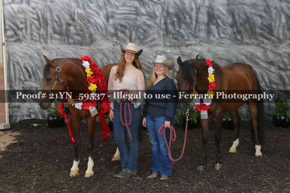 Proof Number 21YN_59537