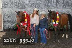 21YN_59540 thumbnail