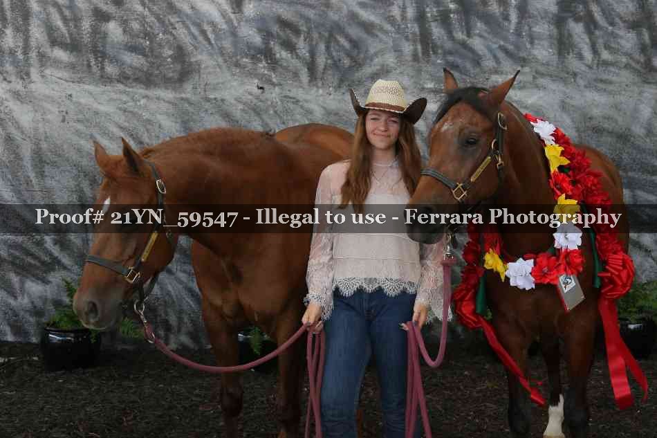 Proof Number 21YN_59547