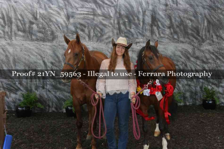 Proof Number 21YN_59563