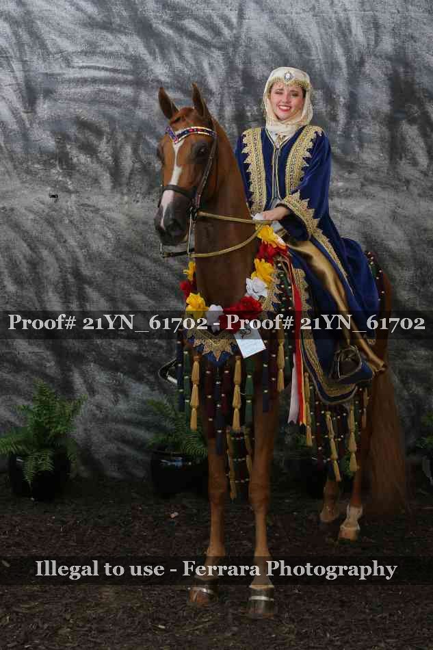 Proof Number 21YN_61702