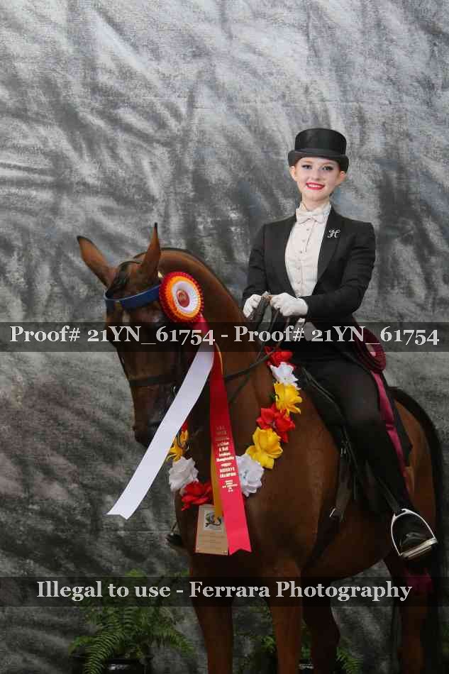 Proof Number 21YN_61754