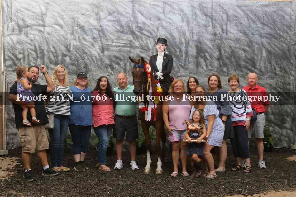 Proof Number 21YN_61766