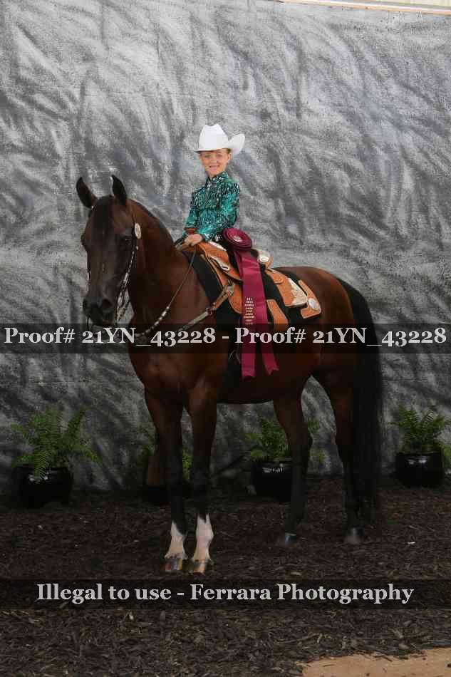 Proof Number 21YN_43228