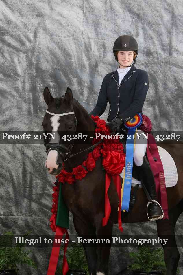 Proof Number 21YN_43287