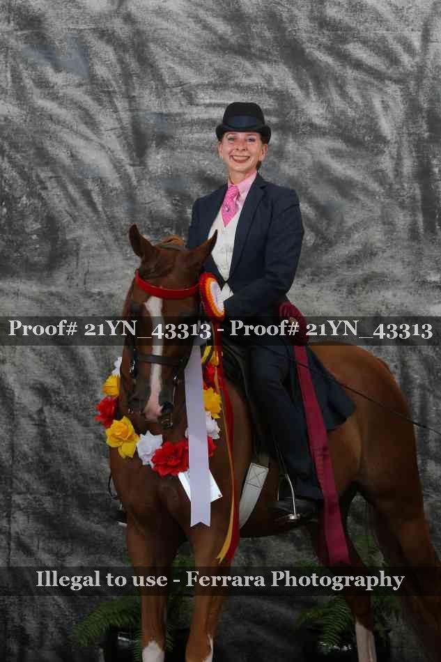 Proof Number 21YN_43313