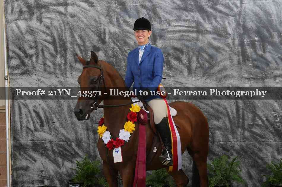 Proof Number 21YN_43371