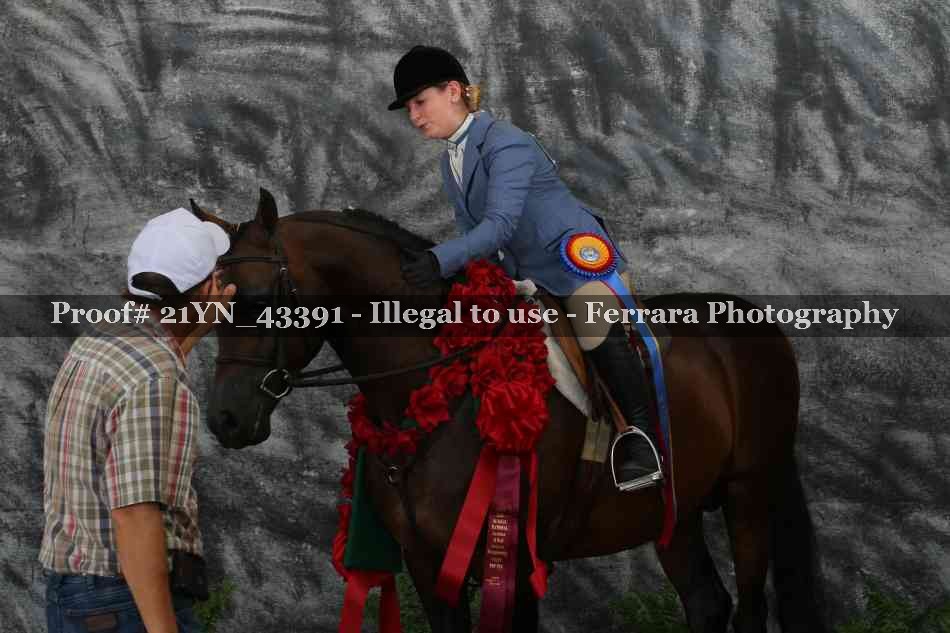 Proof Number 21YN_43391