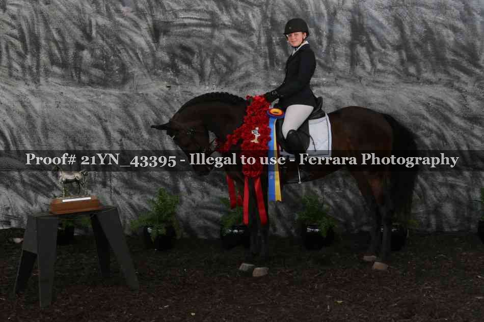 Proof Number 21YN_43395