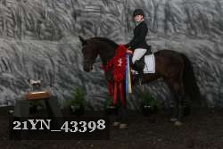21YN_43398 thumbnail