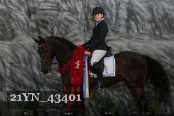 21YN_43401 thumbnail