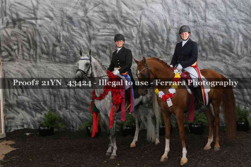 Proof Number 21YN_43424