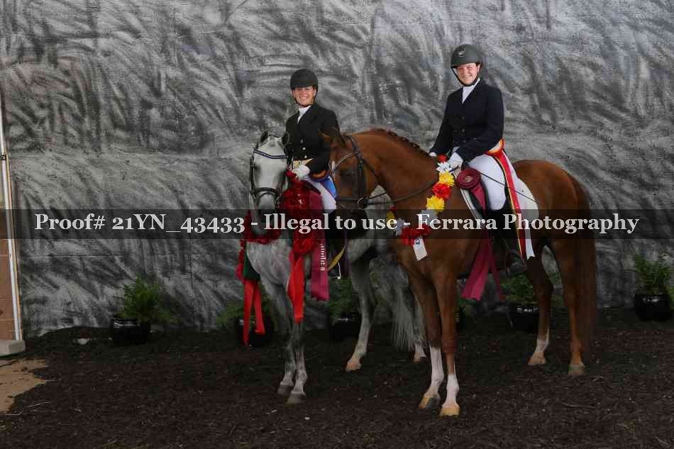 Proof Number 21YN_43433