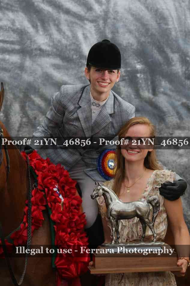 Proof Number 21YN_46856