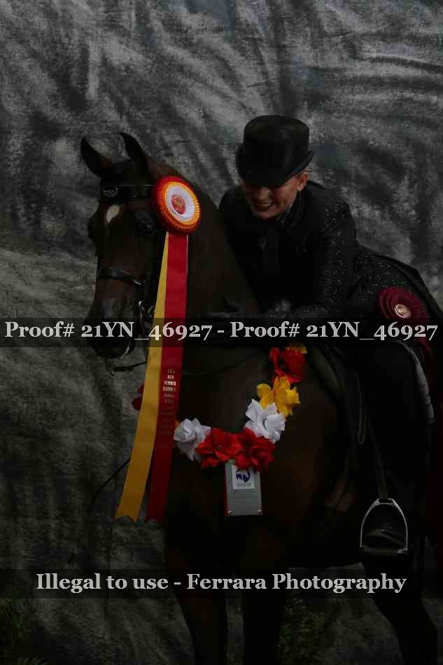 Proof Number 21YN_46927