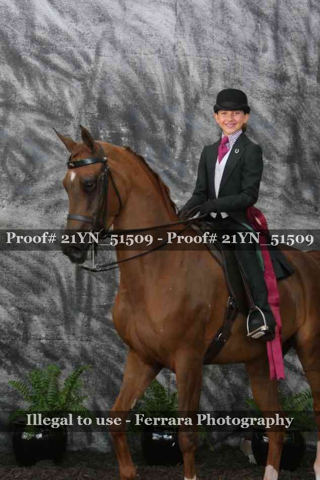 Proof Number 21YN_51509