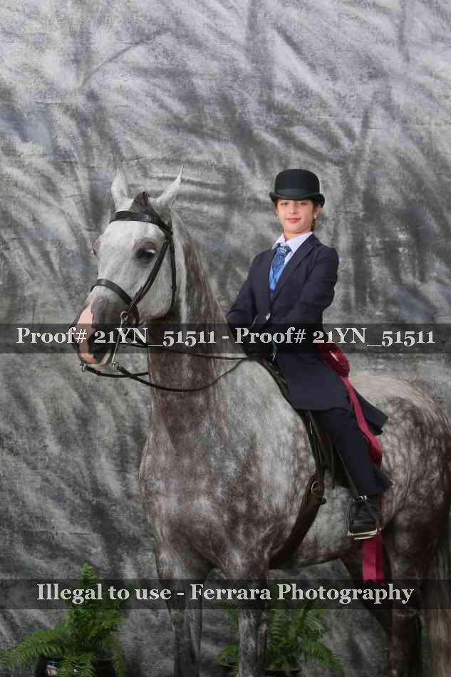 Proof Number 21YN_51511