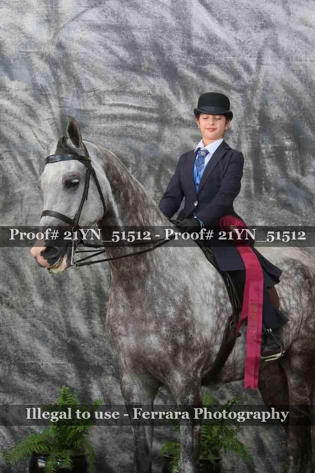 Proof Number 21YN_51512