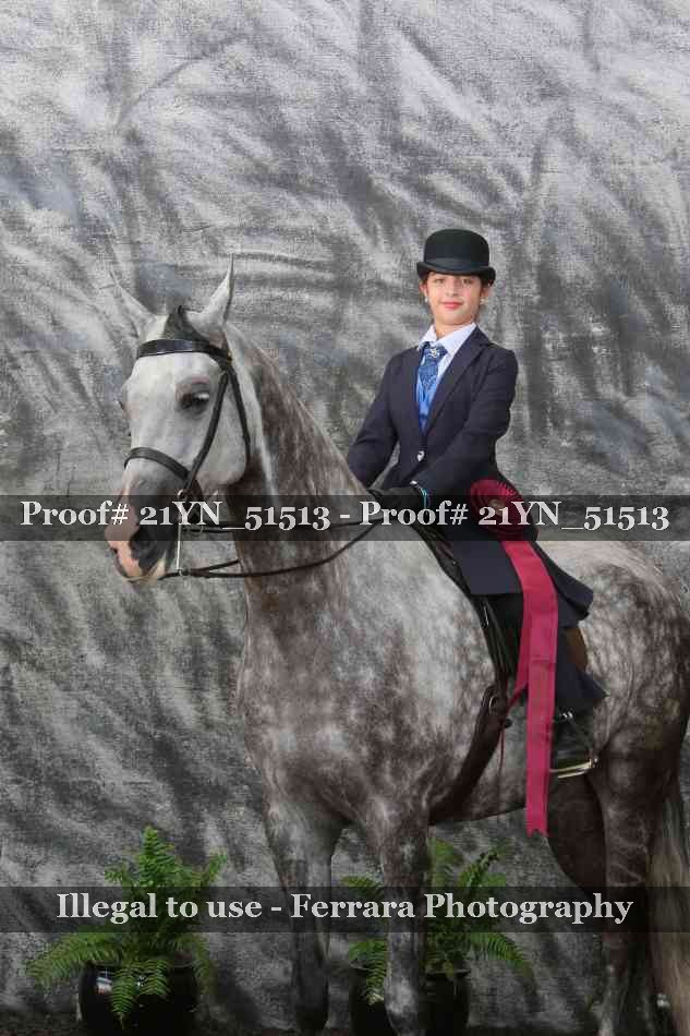 Proof Number 21YN_51513