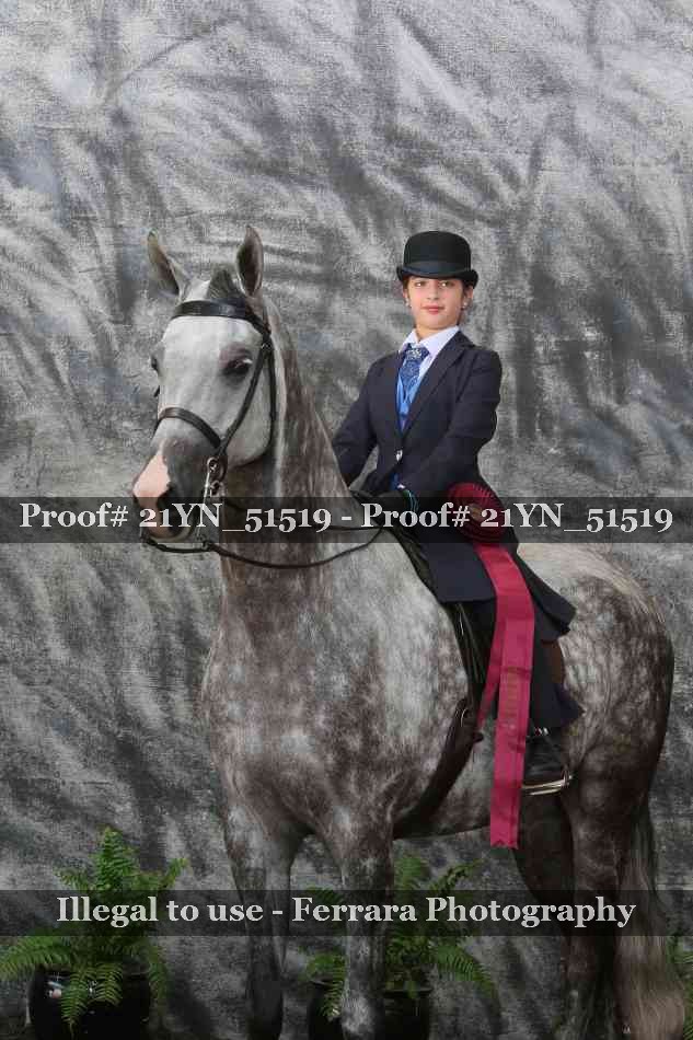 Proof Number 21YN_51519
