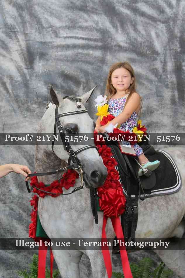 Proof Number 21YN_51576