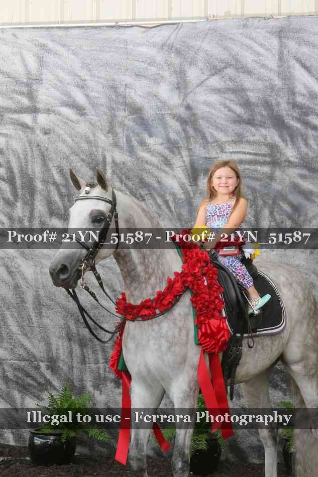 Proof Number 21YN_51587