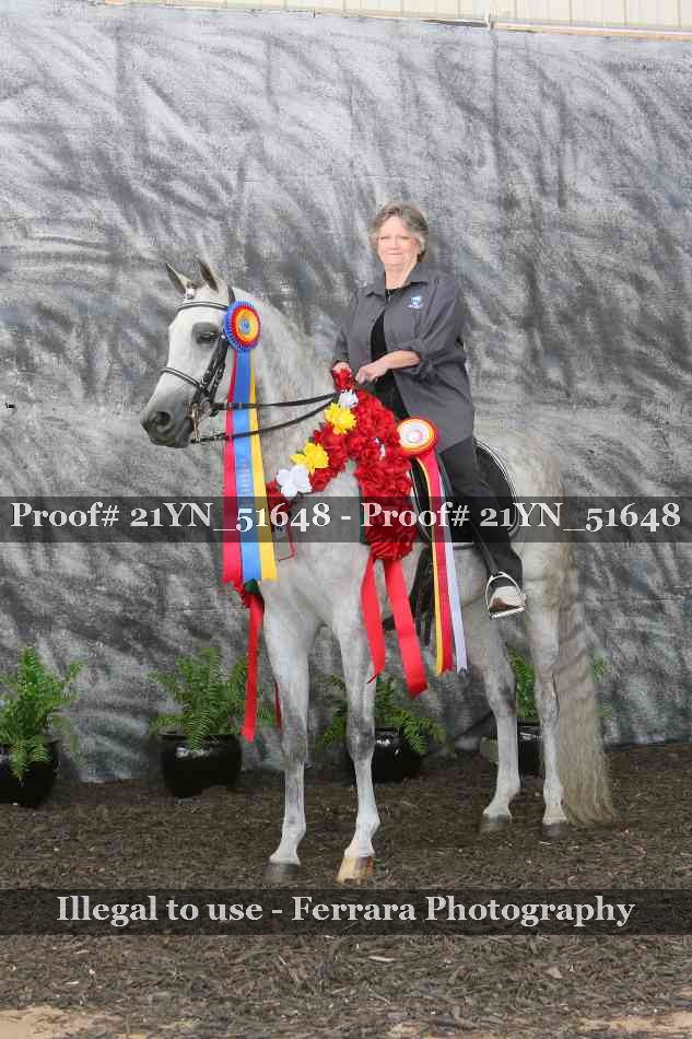 Proof Number 21YN_51648