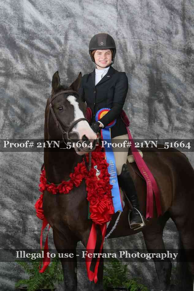 Proof Number 21YN_51664