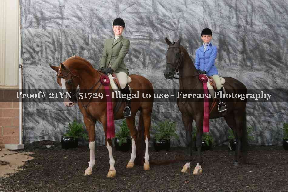 Proof Number 21YN_51729