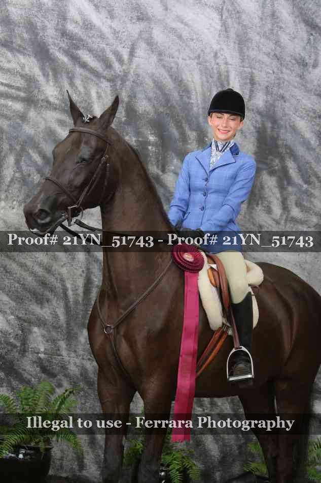 Proof Number 21YN_51743
