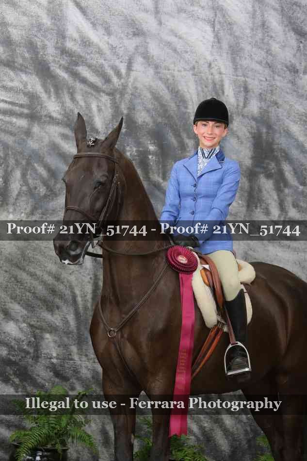 Proof Number 21YN_51744