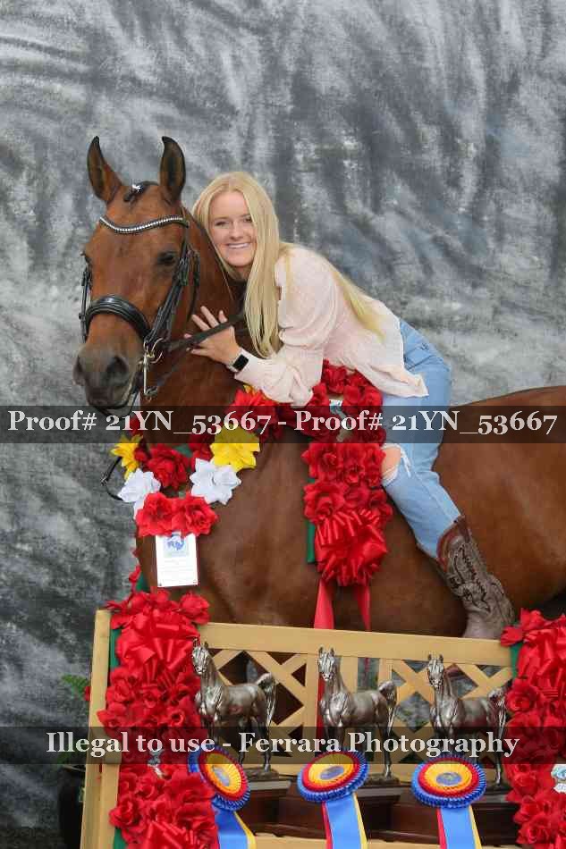 Proof Number 21YN_53667