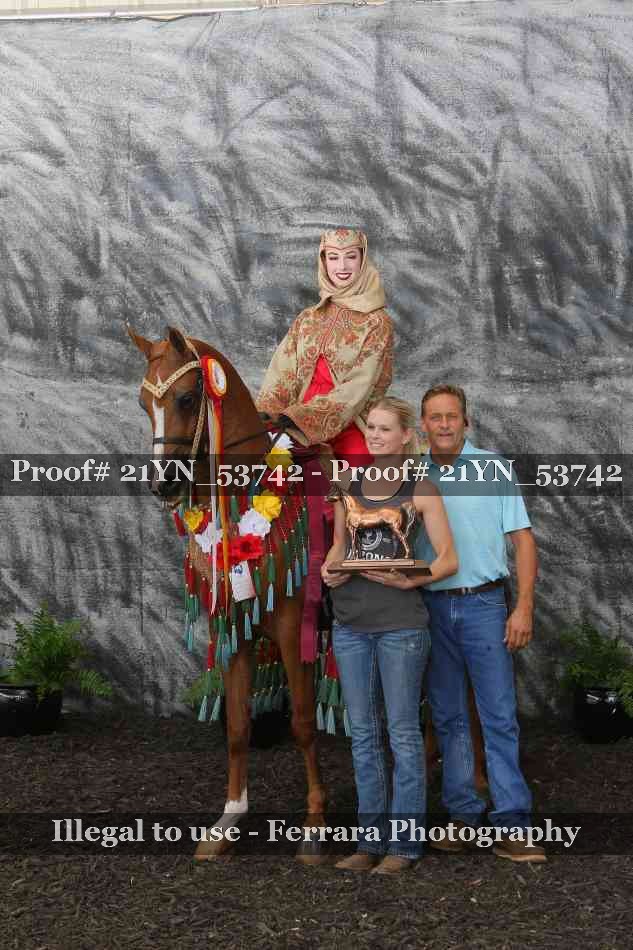 Proof Number 21YN_53742