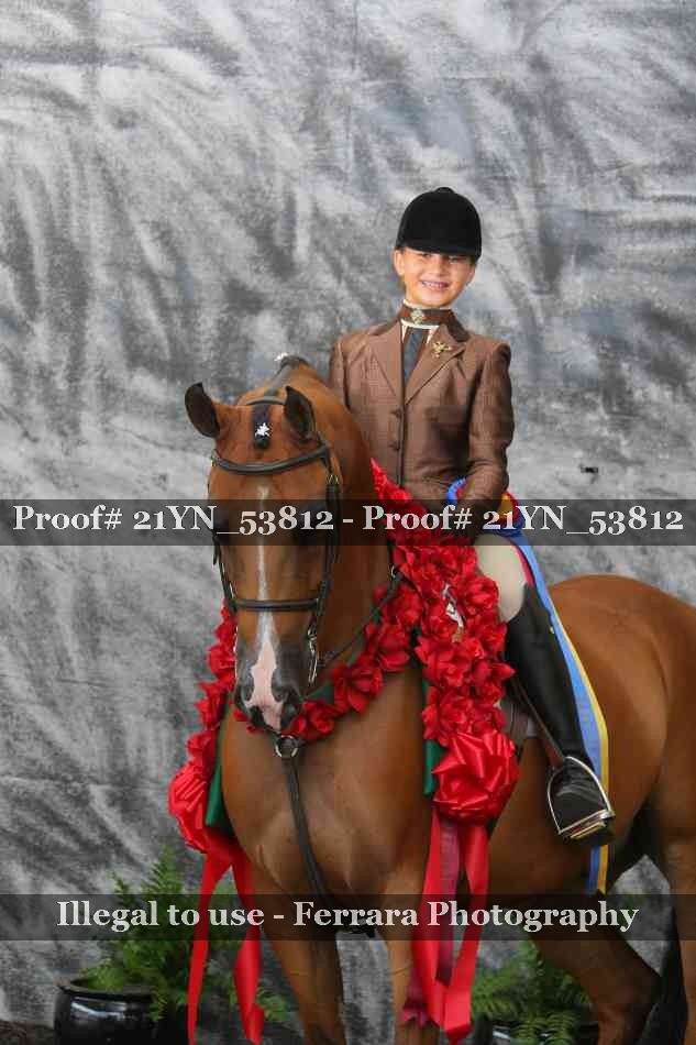 Proof Number 21YN_53812