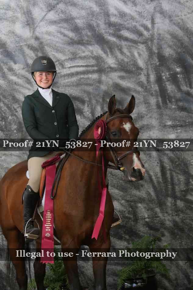 Proof Number 21YN_53827