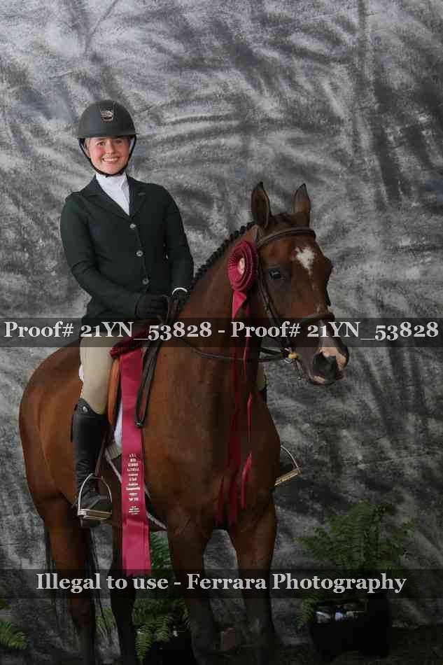 Proof Number 21YN_53828