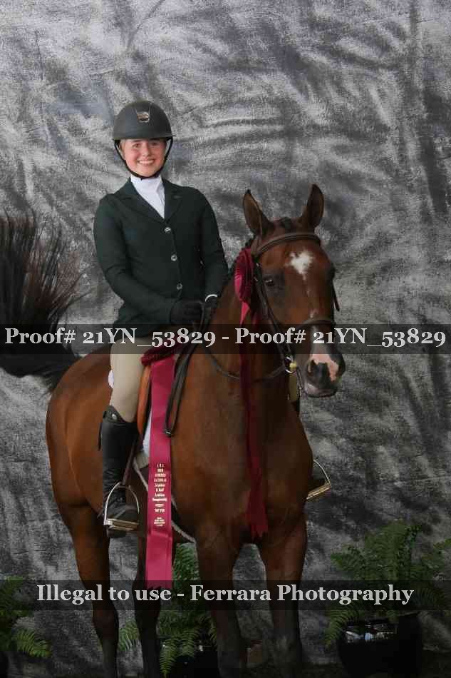 Proof Number 21YN_53829