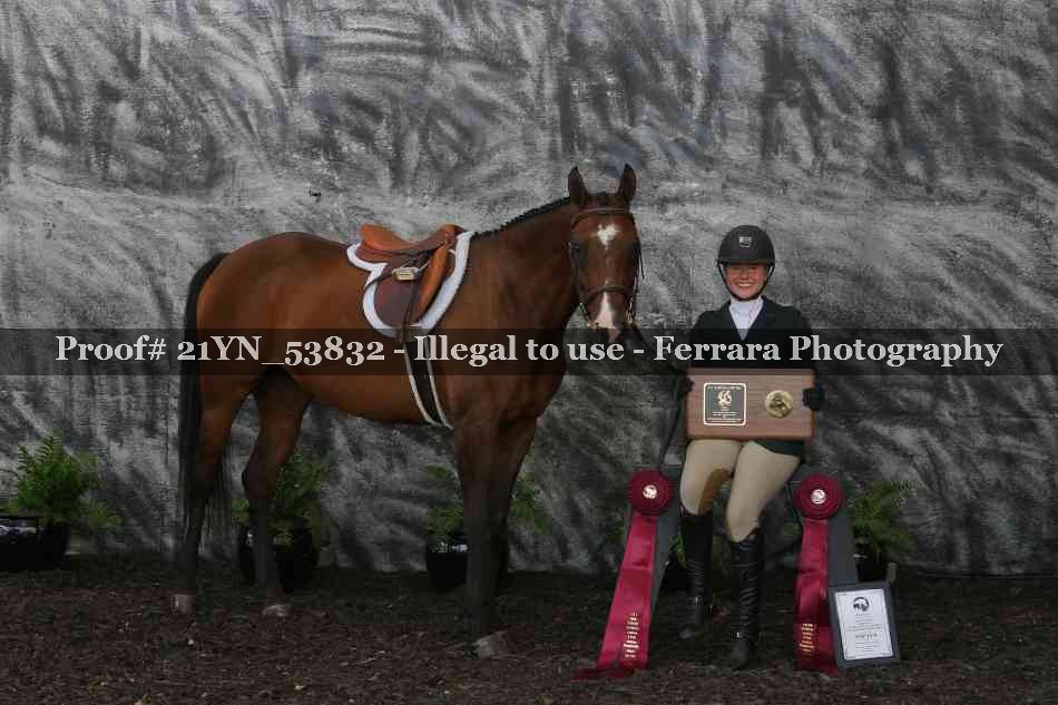 Proof Number 21YN_53832