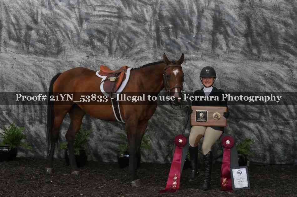 Proof Number 21YN_53833