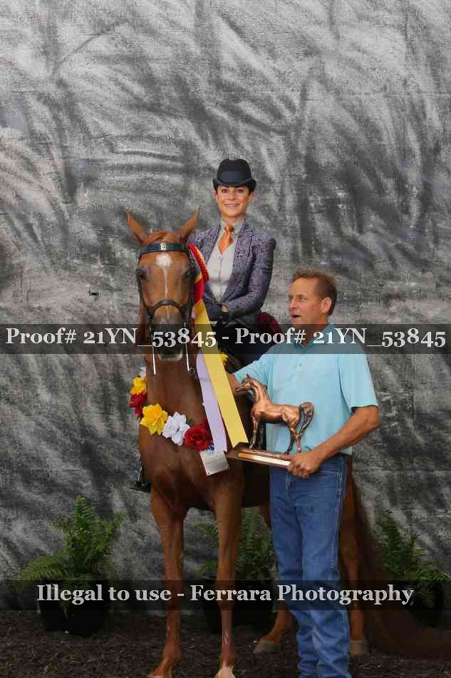 Proof Number 21YN_53845